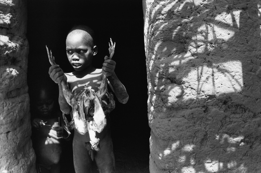MALI. Village of Senedongo. 1996. A Dogon Christian boy prepares a fowl for cooking. Animal sacrifices are part of Dogon animist rituals.