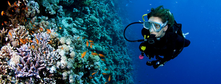 diving-phuket-5