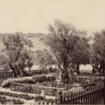 Гетсиманската градина в Йерусалим 2 Април 1862