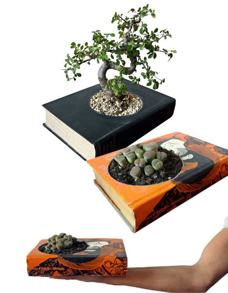 book-plant